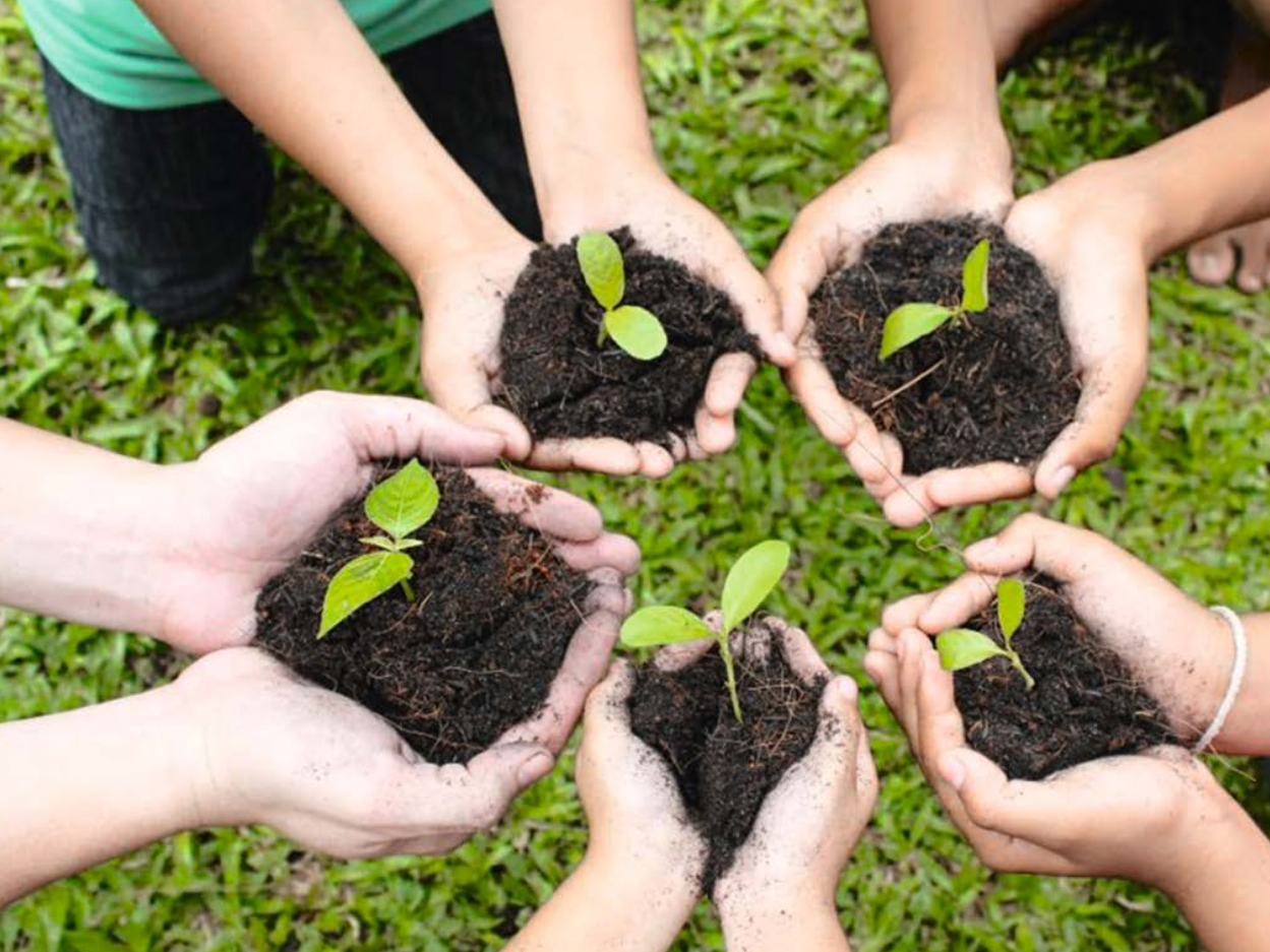 Bidra som frivillig i Norsk Permakulturforening