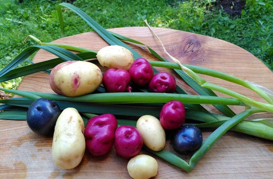 Høst ditt medlemskap nå og det varer ut 2024!