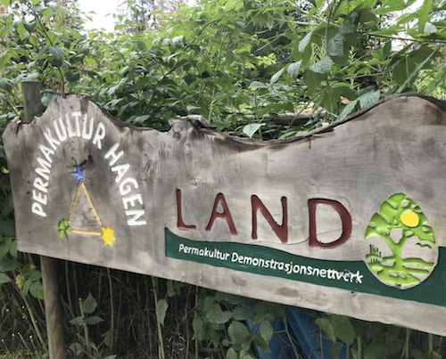 Photo by Jennifer McConachie