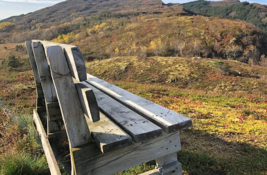 Norsk Permakulturforening har ny nettside!